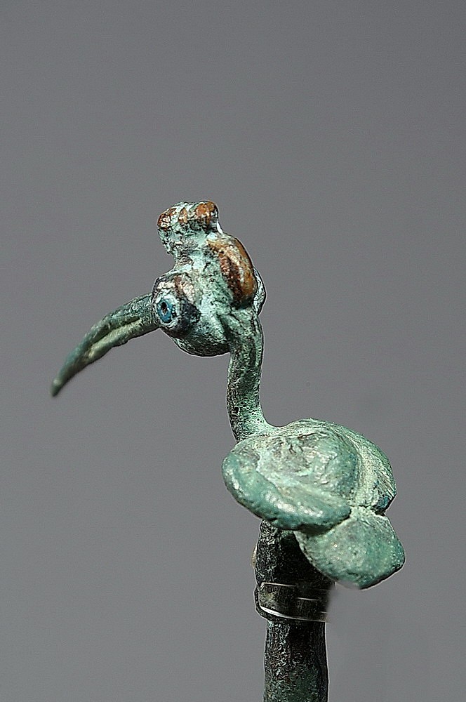 Peru, Chimu/Inca Copper Lime Spoon with Long-Billed Bird
An unusually large lime spoon decorated with a cast long-billed marine bird on top.  The bird has turquoise beads for eyes.  Lime spoons were used to extract powdered lime from containers for participants in coca rituals.  The lime (powdered burned limestone or shell) was the catalyst that released the cocaine alkaloids from the coca leaves chewed during these ceremonies.  Coca rituals were important to Andean cultures, but were restricted to elite, high-ranking lords. Birds represented souls flying to the otherworld to communicate with the supernatural.  For similar examples, see Baessler (1906: pl. 13; Nordenskiold 1921: fig. 19, c; Carcedo de Mufarech 1985: fig. 89; and Schindler 2000: 202 and 203).
Period: Peru, Chimu, North Coast Peru, circa 1100-1350
Media: Metal
Dimensions: Height: 4 3/4"
Condition: Good. The tip of the spoon has been restored.
Price Upon Request
95102