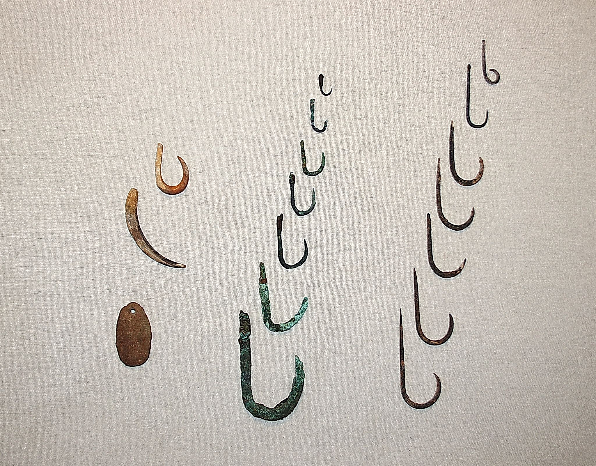Chile, Early Fish Hooks Made of Shell, Copper and CatusThorn in Varying Sizes
These shell hooks are the most early and rare form of Pre-Colombian fish hook.  The copper hooks with straight shanks still have the original cotton line, which has been corroded.  The thorn hooks with straight shanks have a notch to secure a fishing line. The flat stone with a suspension hole was for sharpening the fishhook's points.
Media: Metal
Dimensions: Lengths vary:  1" - 2.75”
N6016