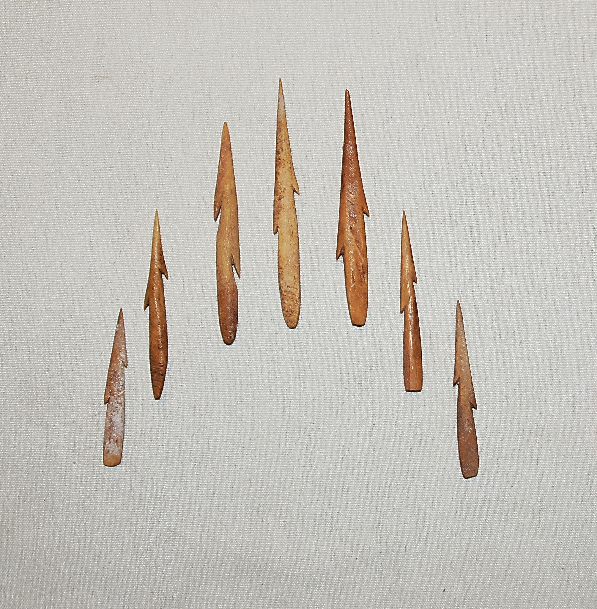 Chile, 7 Bone Carved Barbs for Harpoon
These barbs were fitted to small slender wooden shafts to spear fish.
Period: Chile, Arica, formative period, c. 1000 BC - AD 300
Media: Bone
Dimensions: Length:  2â€ â€“ 3.5â€
N6020