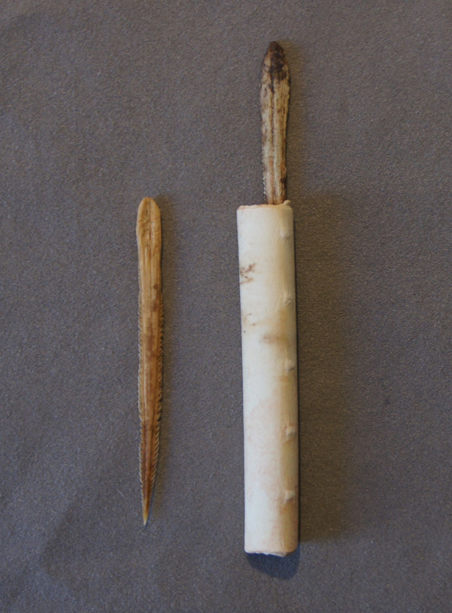 Chile, Two Stingray Stingers with Bone Container
These bone stingray stingers were used for fine cutting of fish or seal meat.
Period: Chile, Cabuza phase, c. AD 300 - 700
Media: Bone
Dimensions: Length: 3"
n6026