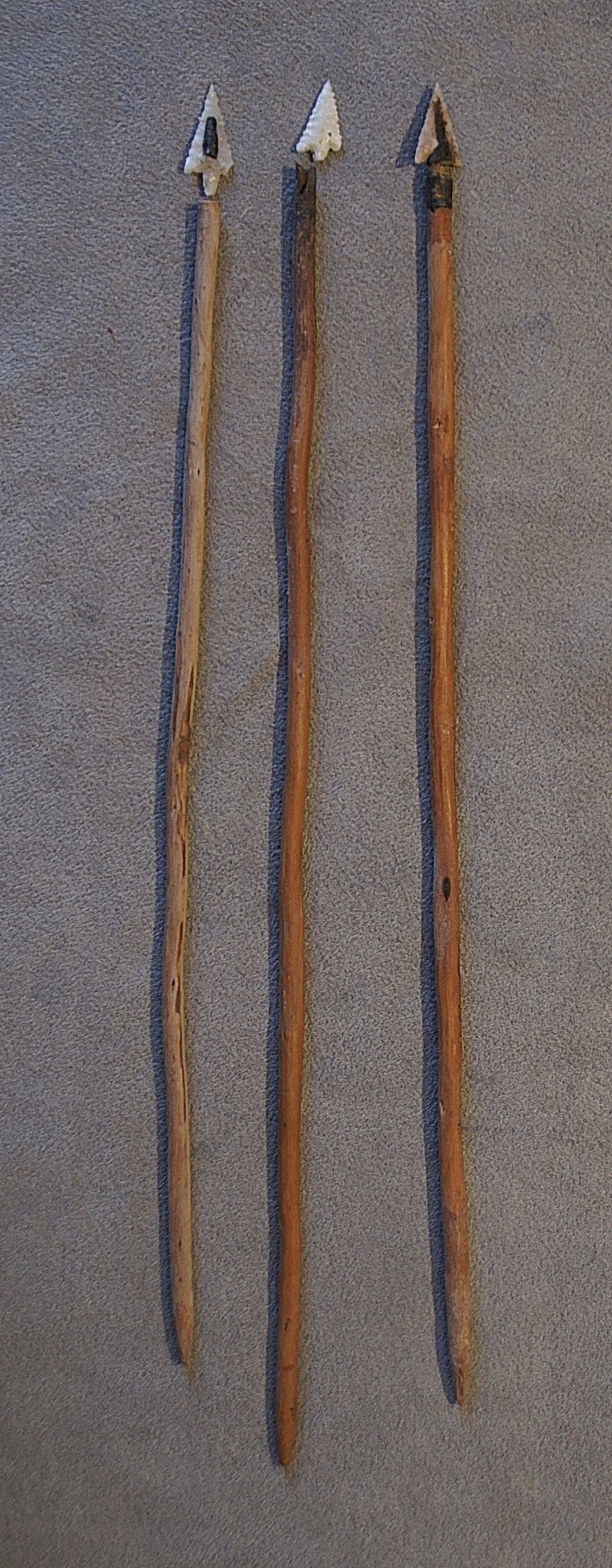 Chile, Three Arrows with Wood Shafts and Napped Quartz Points
These long, tapered arrows had small points for hunting birds and small fish.  The points were inserted into a socket, then tied and glued to the shafts with black tree resin.
Media: Wood
Dimensions: Length: 10"
n6031