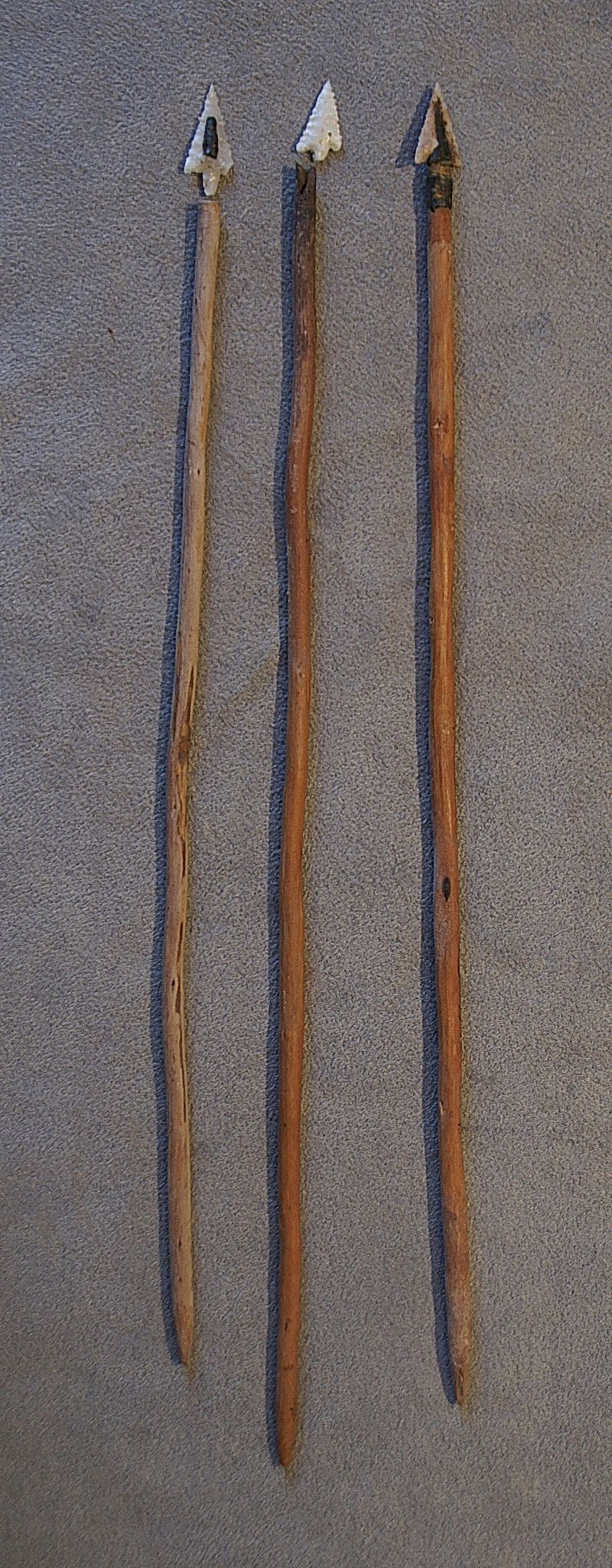Chile, Three Arrows with Wood Shafts and Napped Quartz Points
These long, tapered arrows had small points for hunting birds and small fish.  The points were inserted into a socket, then tied and glued to the shafts with black tree resin.
Period: Chile, Arica, San Miguel Phase, AD 1100 - 1200
Media: Wood
Dimensions: Length: 10"
n6031
