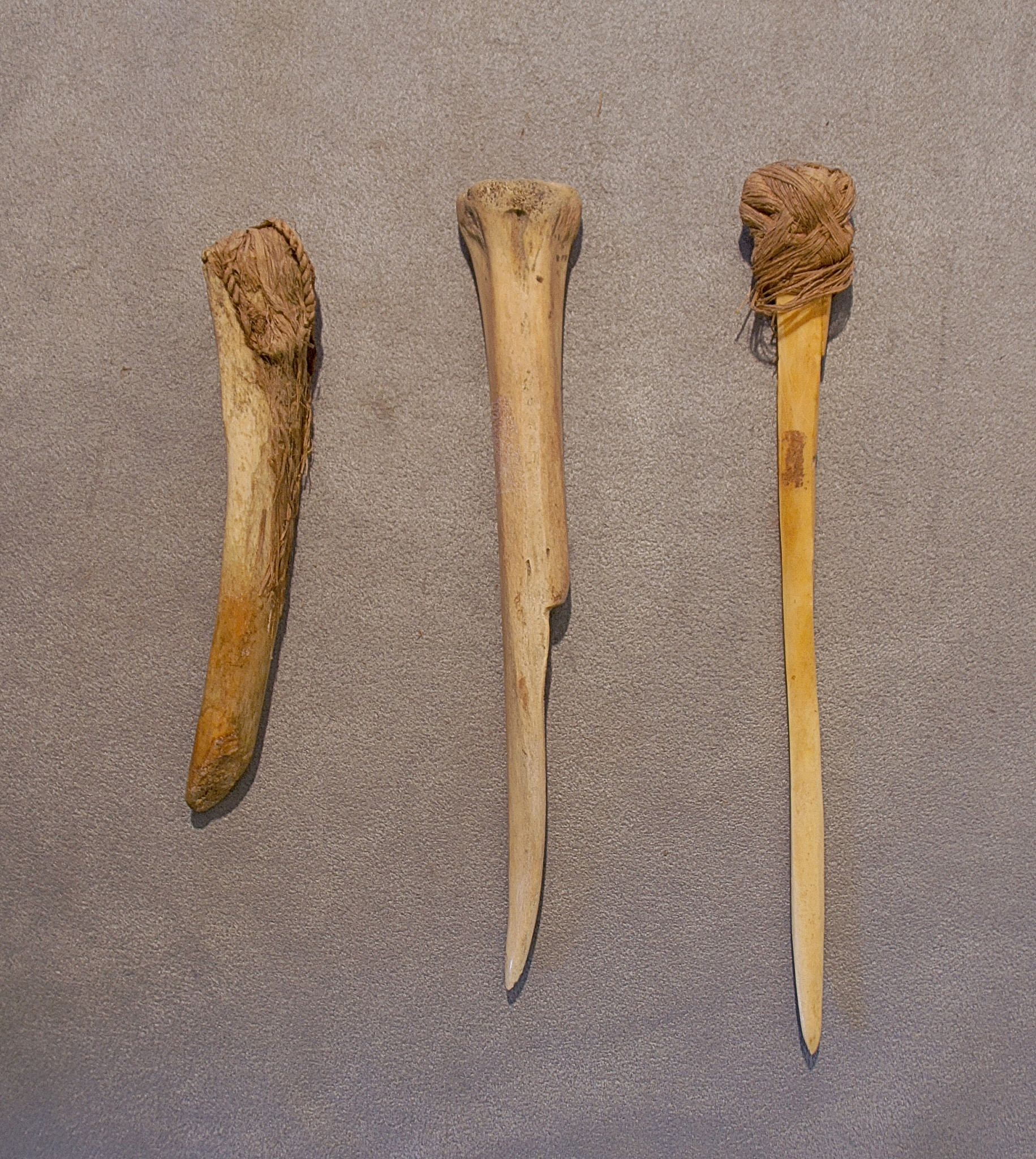Chile, Three Bone Tools for Chipping and Opening Clam Shells
These tools were made from sea lion ribs.  The shorter one was used for chipping stone points.  The two longer ones were used for opening clams and mussels.  The hemp wrapped end was to protect the hand when opening shells.
Period: Chile, Azapa, North Coast, c. AD 900 - 1500
Media: Bone
Dimensions: Lengths Vary: 5.75" - 8"
n6032
