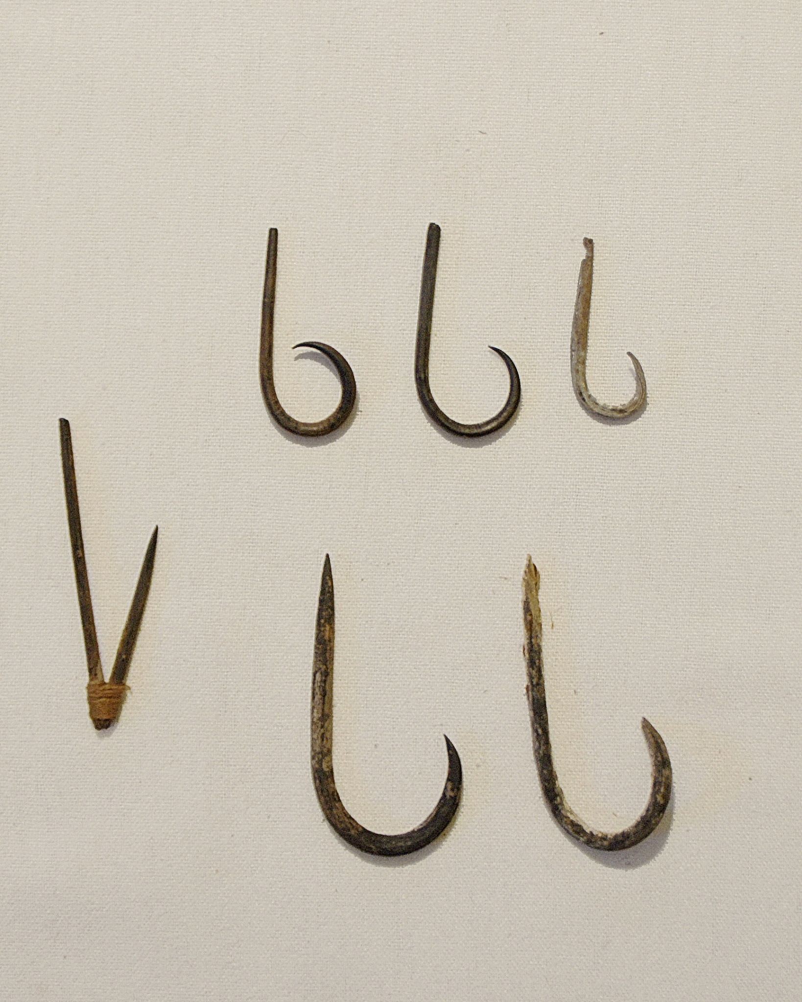 Chile, Six Cactus Thorn Fish Hooks
The thorns were curved with heat and the points were occasionally sharpened with a flat stone.  These hooks each have a notch at the opposite end to secure cotton line.  The two-part hook was an earlier development before the curved hook was invented.
Period: Chile, Camaroni, North Coast, c. 100 - 600 BC
Media: Wood
Dimensions: Lengths Vary: 1"- 2"
n6033