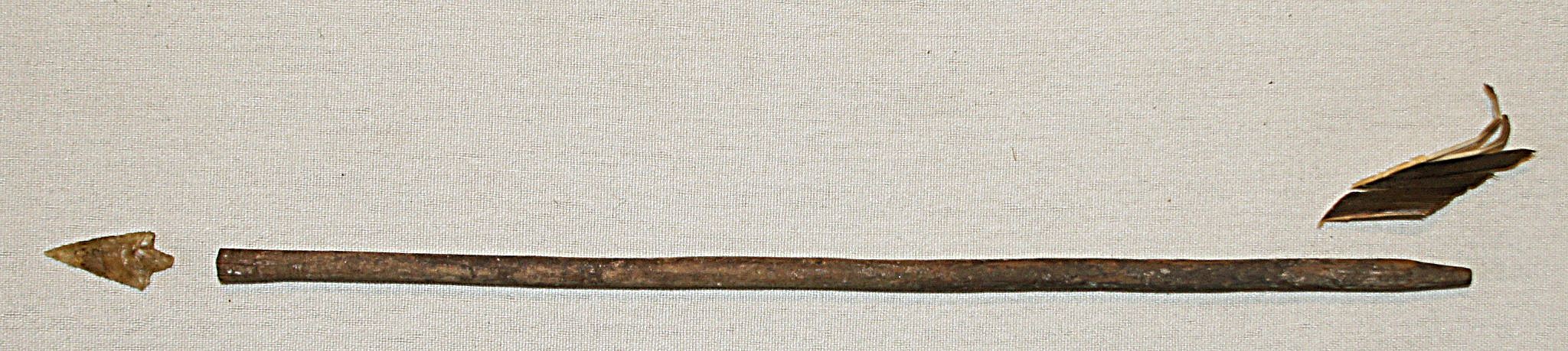 Chile, Arrow with Quartz Point and Feather Fletching
The arrow is made from a thin wood shaft with a socket for the arrowhead and a feather for the fletching.
Period: Chile, Arica, Far North Coast, c. AD 900 - 1200
Media: Wood
Dimensions: Length:  10"
n6034