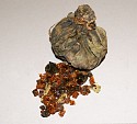 Chile, Pelican Beak Leather Pouch Filled with Tree Resin Crystals
Other