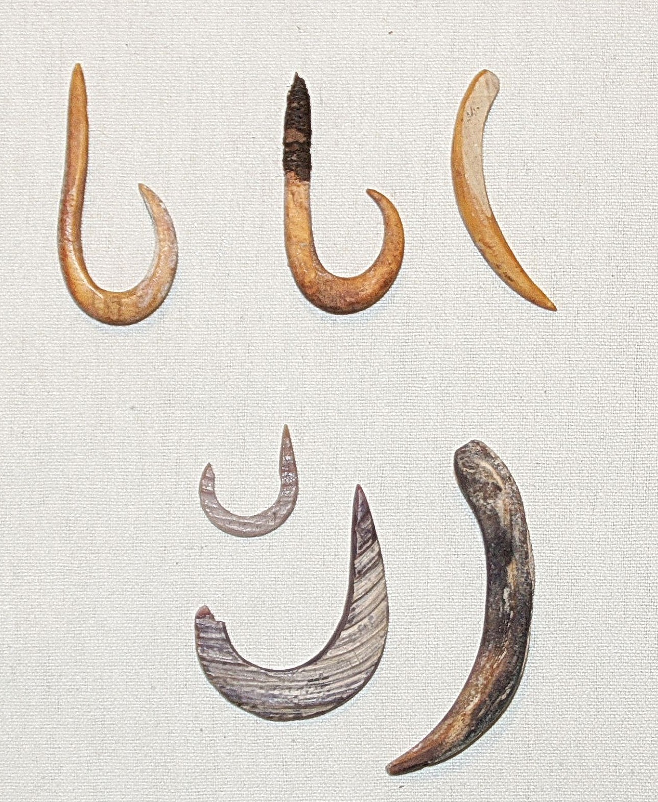 Chile, 7 Early Bone and Shell Hooks
This collection includes four bone hooks, one of which was attached to a stone sinker as a barb, and three early spondylus shell fish hooks.  The shell fishhooks were made from clam or Spondylus shells by drilling a hole and then carving a hook shape from the outer edge of the hole.


To view an illustrated discussion of the fishing methods and implements of ancient Chile, along with a catalog of the collection in PDF form, PLEASE CLICK HERE.



Period: Haiti, Courian Subseries, c. 2000 BC - AD 250
Media: Shell
Dimensions: Lengths vary:  .75â€ â€“ 3â€
N6017