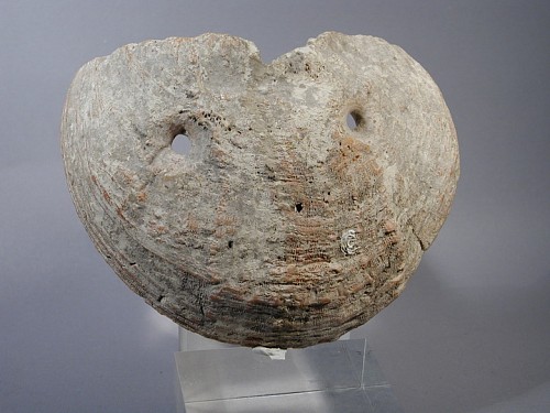 Work: Shell Mask $2,500