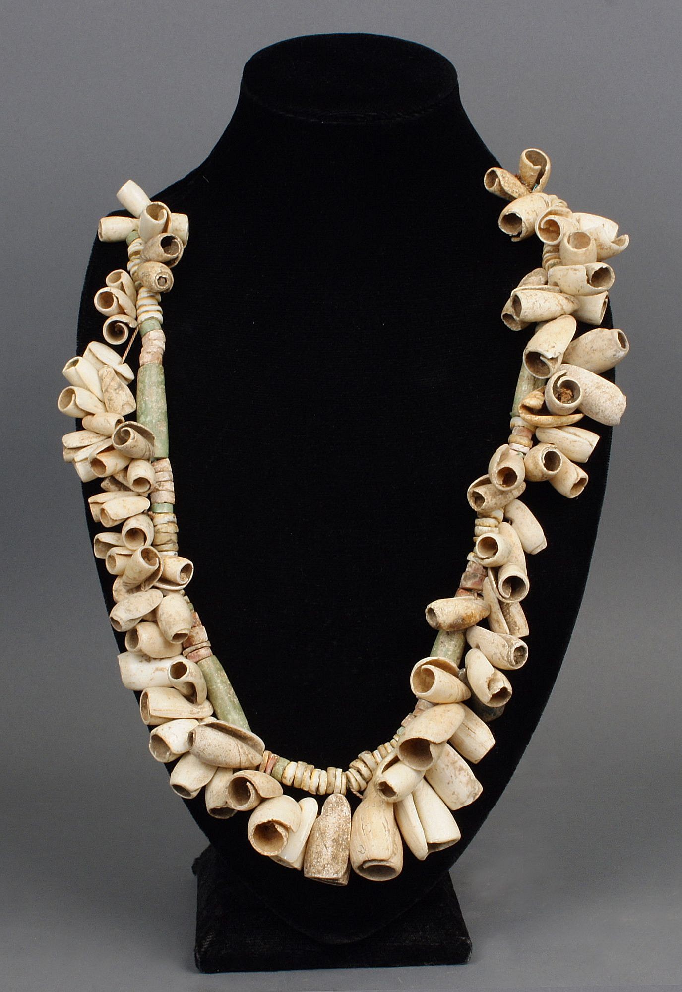 Dominican Republic, Taino Necklace Composed of Operla Snail Shells
These cone snail (gastropoda Conidae) shells were by the ancient Taino as beads and would have been worn on necklaces by people of high wealth and status.  The beads are ancient, but this necklace is modern assembled, with a design that resembles an ancient necklace.
Media: Shell
Dimensions: Length: 21"
$3,200
99376