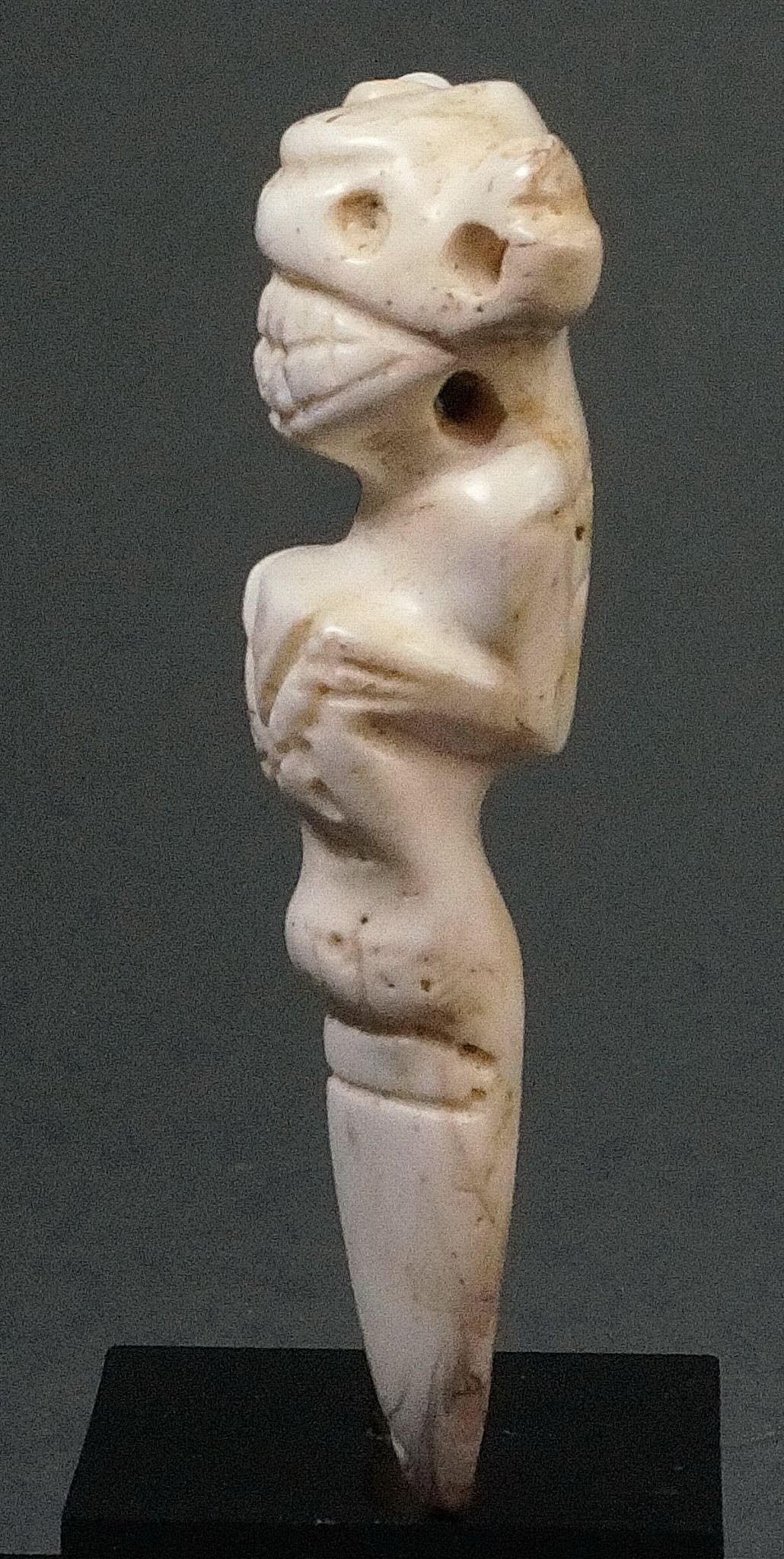 Dominican Republic, Taíno  White Shell Pendant of a Crouching Bat with Grimacing Mouth
Bats were considered messengers of the dead who visited the living during the night. This is a particularly large example of a bat that must have been crafted from a very large conch shell.  It was probably a center pendant to a necklace.
Period: Dominican Republic, Taíno , c. AD 1000 - 1500
Media: Stone
Dimensions: Height 3 1/8"
94246