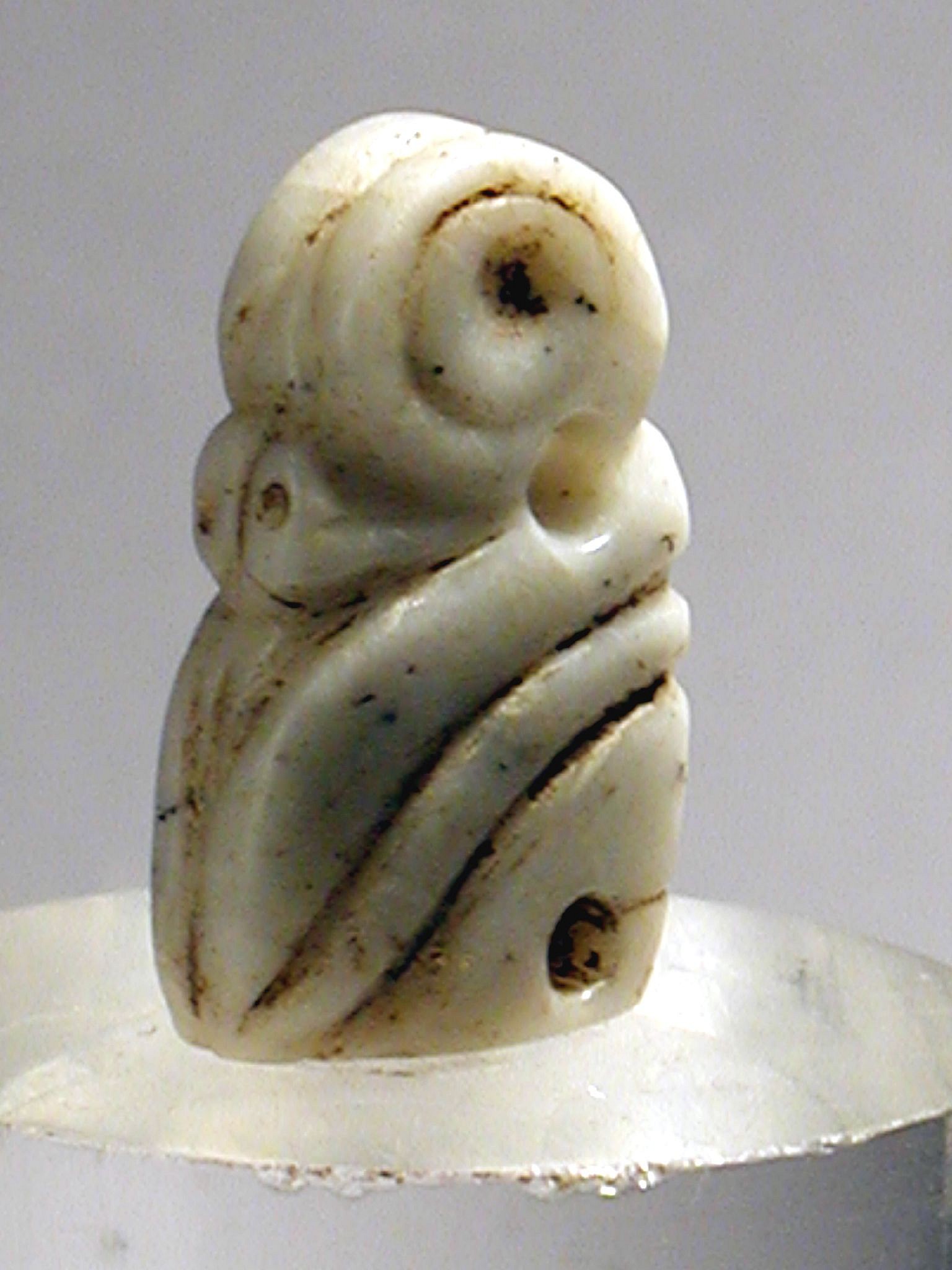 Dominican Republic, Taíno  Stone Birds' Head Pendant
Birds are common motifs in Taíno  art and were surely consumed as food by the Taíno  in addition to being valued for their plumage.  These pendants were worn by shamans.
Period: Dominican Republic, Taíno , c. AD 1000 - 1500
Media: Other
Dimensions: Height: 1 1/4"
98224