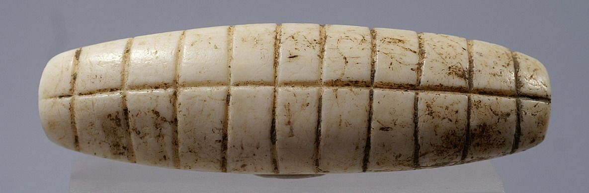 Dominican Republic, Taíno  Shell Teeth Inlay
This type of inlay represents a set of teeth that were set into the mouth cavities of zemi spirit images. In this case, the large size of the inlay suggests that it was placed in the mouth of a wooden figure or statue.  The size and the thickness indicate that it must have been carved from a very large bivalve.
Period: Dominican Republic, Taíno , c. AD 1000 - 1500
Media: Shell
Dimensions: Length: 2 1/2"
99334