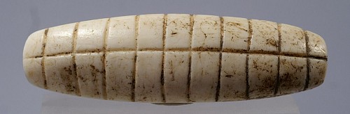 TaÃ­no  Shell Teeth Inlay
