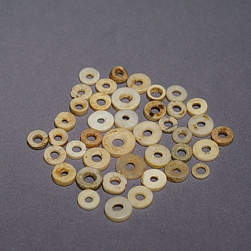 Work: TaiÂ­no Group of 38 Shell Discs