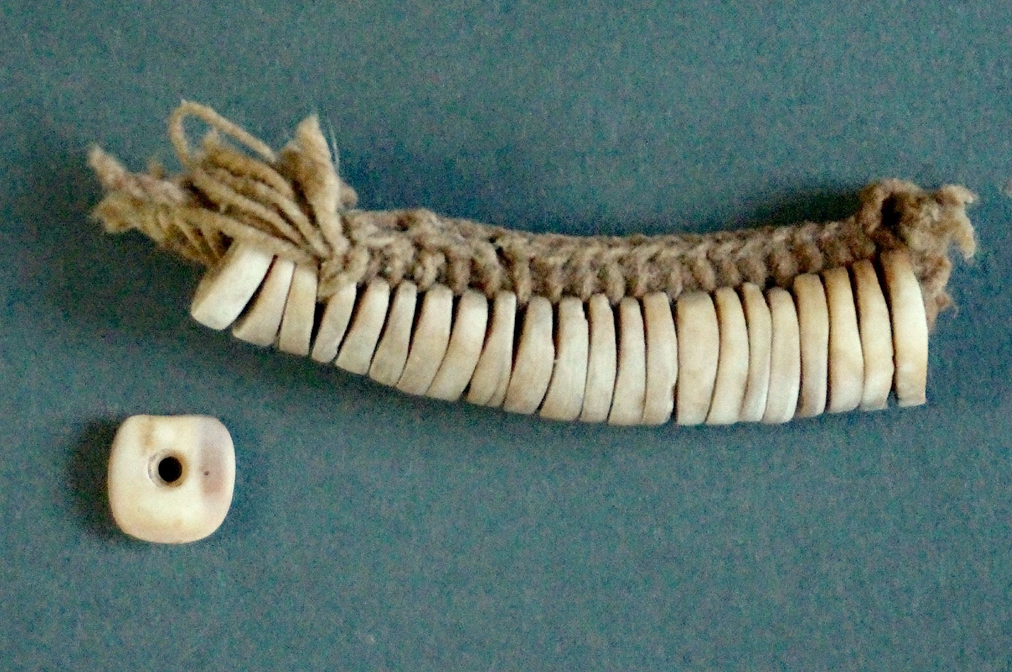 Dominican Republic, Taíno  Shell Necklace Section on the Original Hemp Cord
There are 22 matching square-shaped shell beads each with a drilled hole in the center.  The individual beads are almost identical in size and shape and were originally part of a longer choker style necklace.  Each bead is elaborately attached both to each other and to the braid.  There are 8 paired cords of string making up the choker and 4 paired cords run through the bead hole, using a complicated technique of bead stringing without the use of knots. The cord and the beads are from an original necklace.  Itâ€™s quite rare to find the original hemp cord intact.
Period: Dominican Republic, Taíno , Early Classic Period, c. AD 600 - 1000
Media: Shell
Dimensions: Length of section: 2"  Size of bead: 5/16"
99380