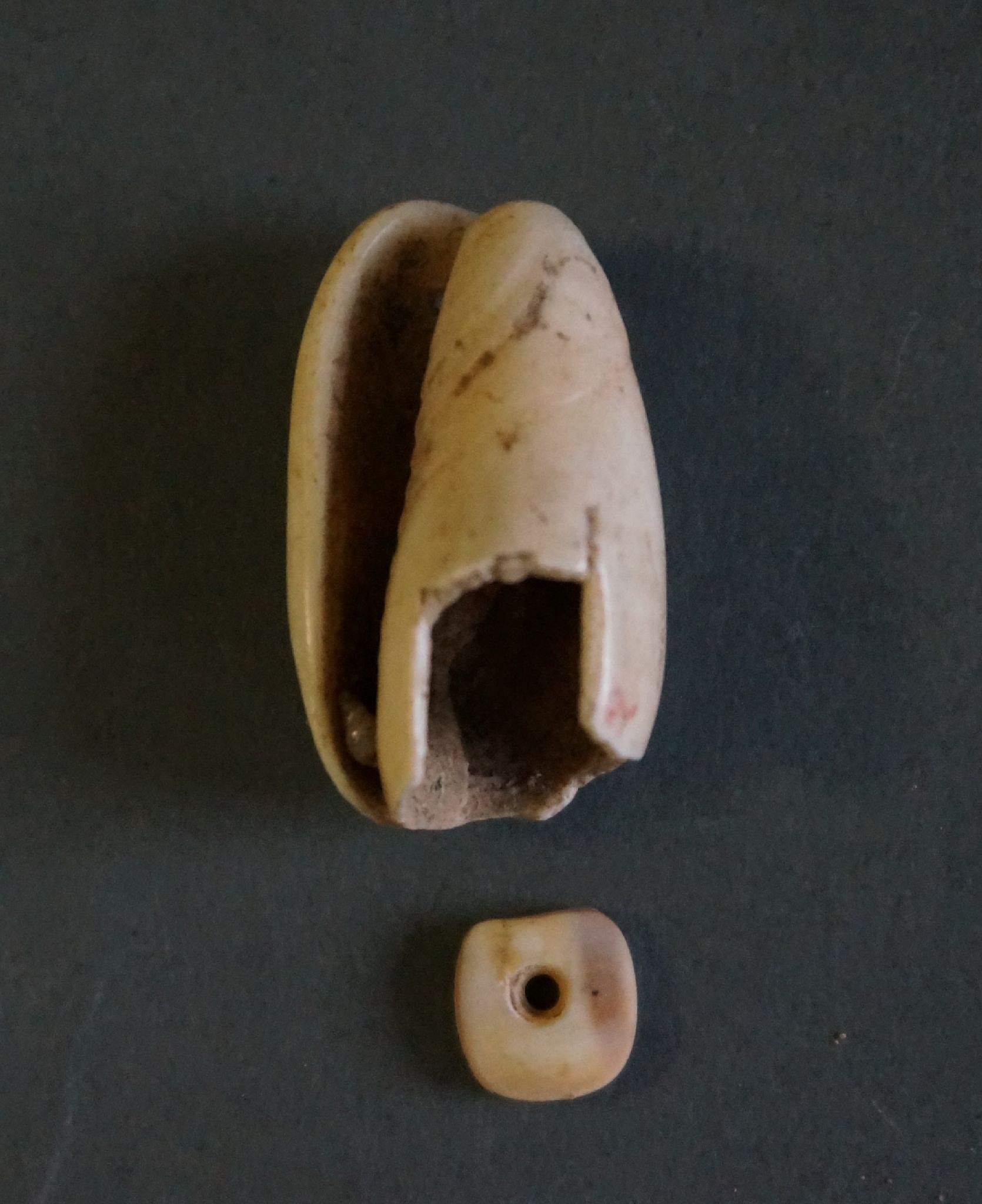 Dominican Republic, Taíno  Carved Shell with Matching Bead
These snail shells were in abundance and made both individual cut beads as well as utilizing the entire shell as a single necklace element. They appear to be crafted from the same shell.
Period: Dominican Republic, Taíno , c. AD 1000 - 1500
Media: Shell
Dimensions: Height: 1/2"
99381