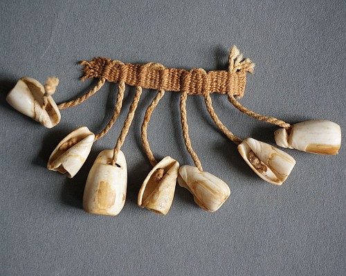 Section of a TaÃ­no  Shell Necklace with Original Ancient Stringing