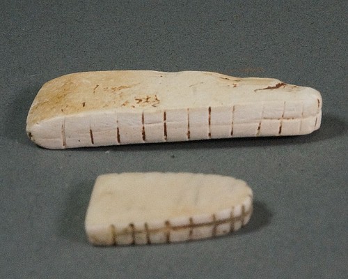 Work: 2 Sets of Taíno  Carved Oblong Shaped Teeth