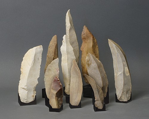 Work: Neolithic Taíno  Group of Eleven Xillex White Blades for Assorted Uses
