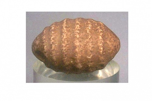 TaÃ­no Neolithic Tan Egg-Shaped Grooved Stone Grinder